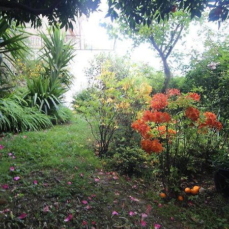 Appartement Il Giardino Delle Ortensie à Salto Chiesa Extérieur photo