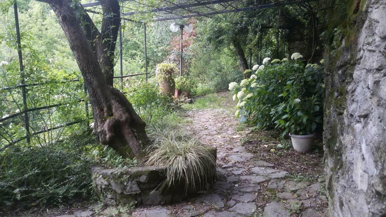 Appartement Il Giardino Delle Ortensie à Salto Chiesa Extérieur photo