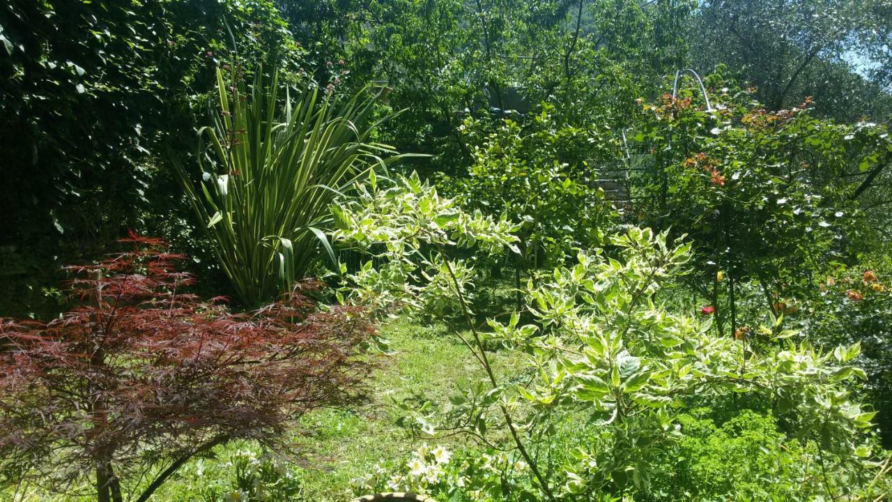 Appartement Il Giardino Delle Ortensie à Salto Chiesa Extérieur photo