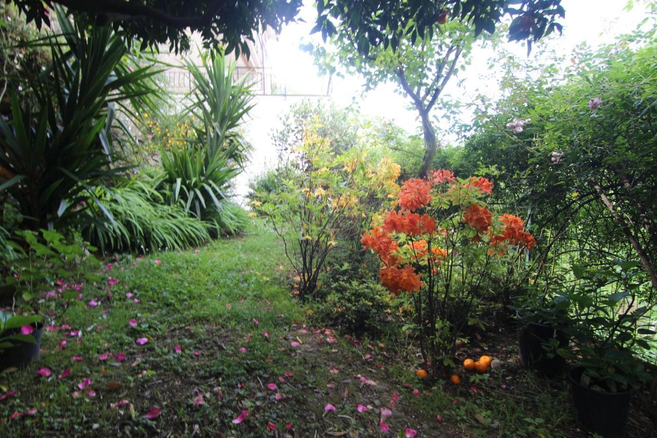 Appartement Il Giardino Delle Ortensie à Salto Chiesa Extérieur photo