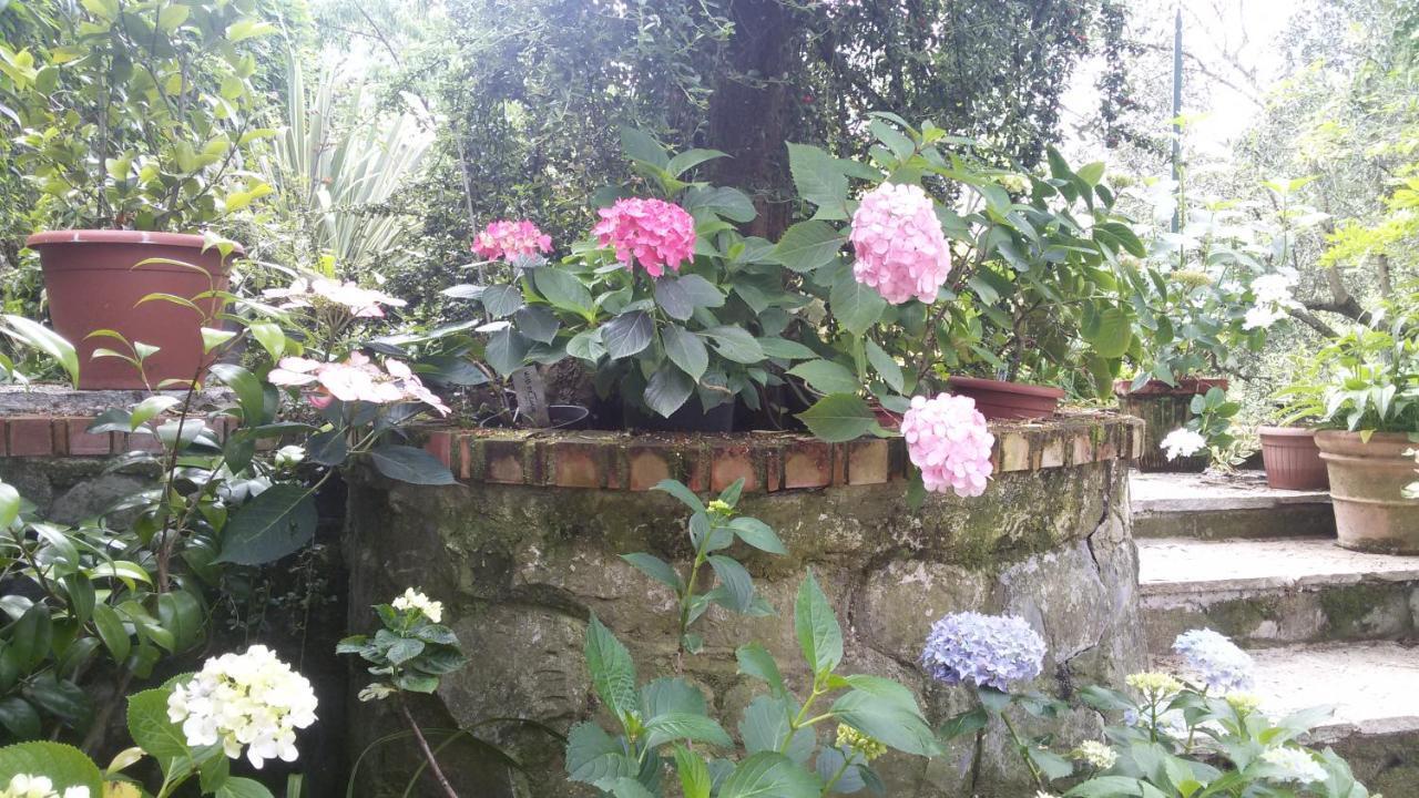 Appartement Il Giardino Delle Ortensie à Salto Chiesa Extérieur photo